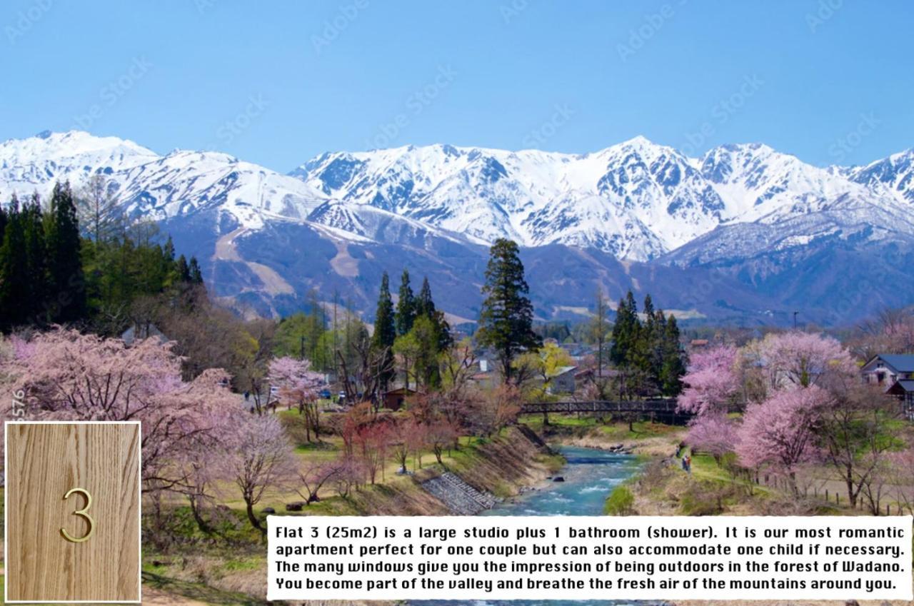 Snow Horizon Leilighet Hakuba Eksteriør bilde